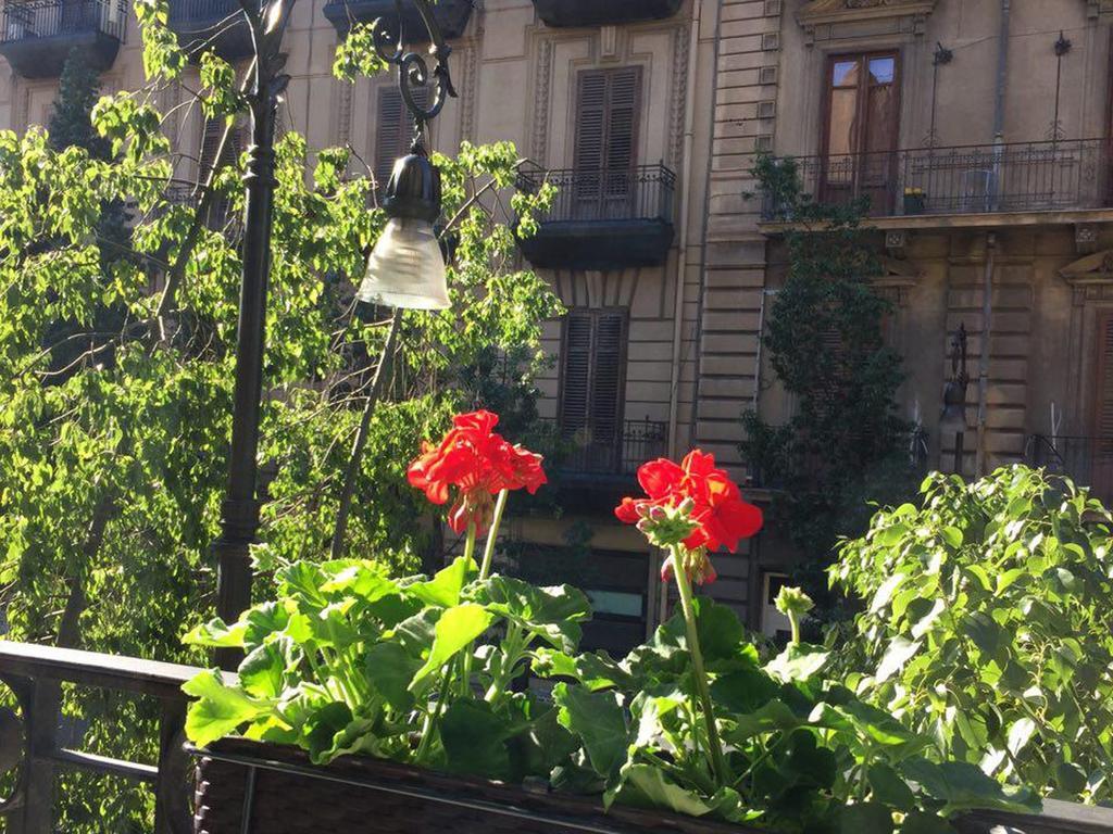 B&B Suitecentro Palermo Zewnętrze zdjęcie